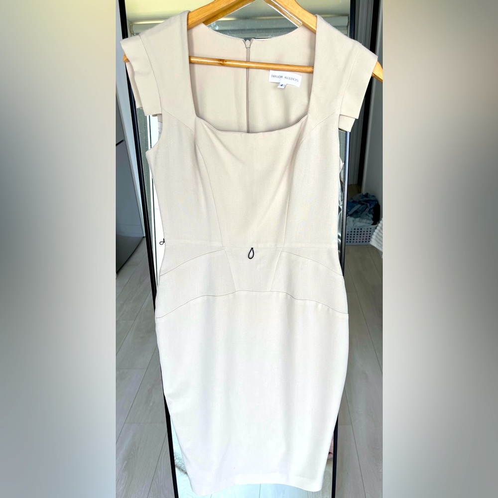 Taylor Avedon dress